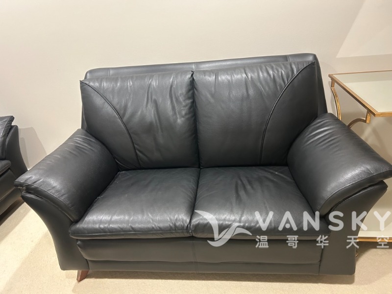 240521141201_two-seat leather sofa.jpg